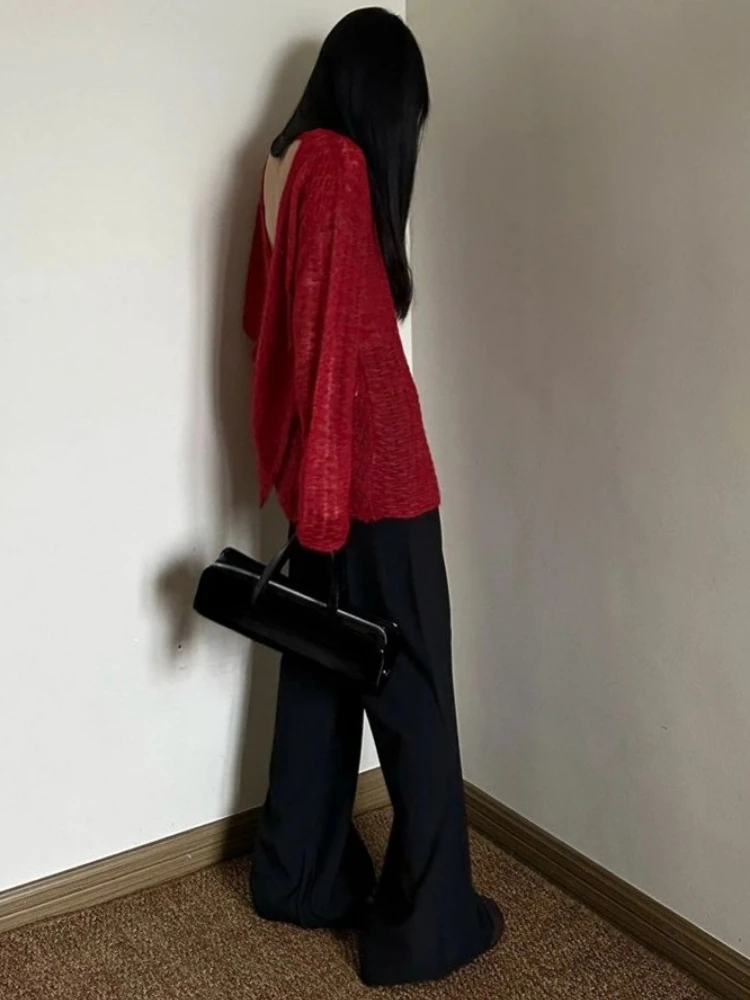 Y2K See-Through Knitted Women' - Embroidery review and price